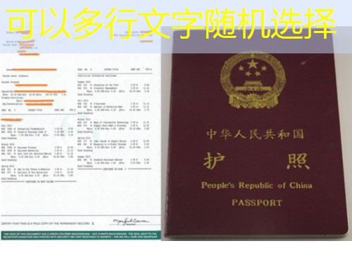 呼和浩特移民中介机构：草原都市里的全球通行证